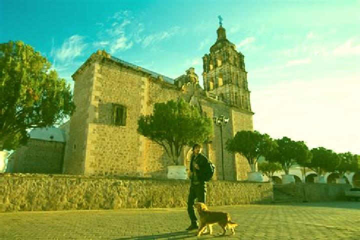 Ivy, 21 — Escort in Santa Maria de Alamos, Mexico