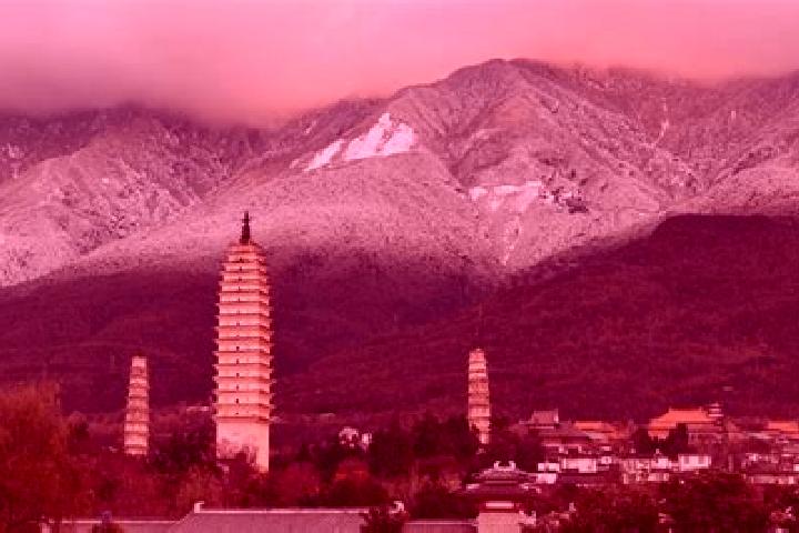 Ivy, 22 — Escort in Cangshan, China