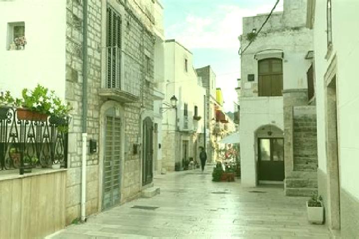 Ivy, 22 — Escort in Cassano delle Murge, Italy