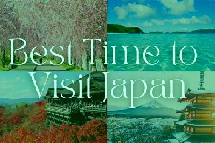 Ivy, 22 — Escort in Hakonegasaki, Japan