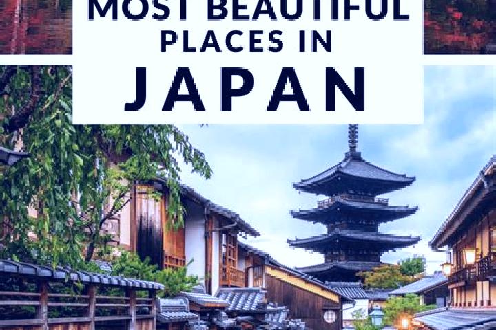 Ivy, 22 — Escort in Kamihonbetsu, Japan