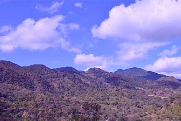 Ivy, 22 — Escort in Las Sabanas, Nicaragua