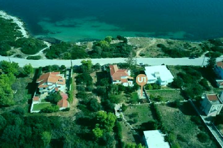Ivy, 22 — Escort in Malesina, Greece