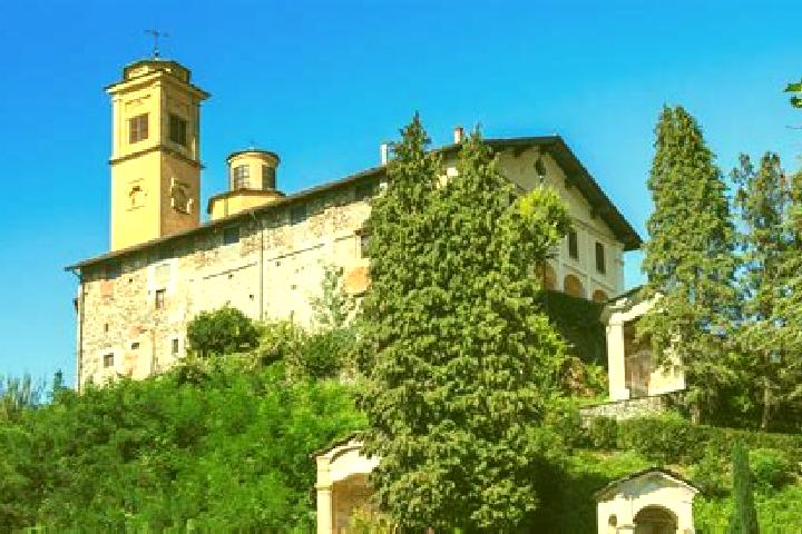 Ivy, 22 — Escort in San Giacomo Vercellese, Italy