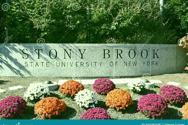 Ivy, 22 — Escort in Stonybrook, United States