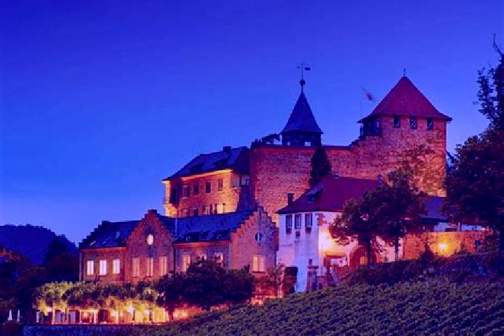 Ivy, 22 — Escort in Wildberg, Germany