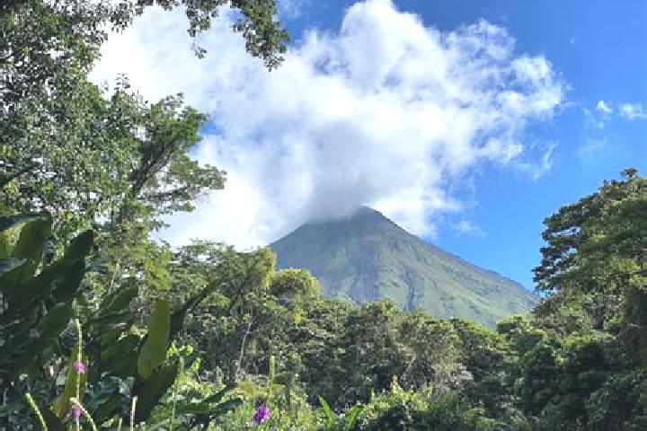 Ivy, 23 — Escort in Arenal, Honduras