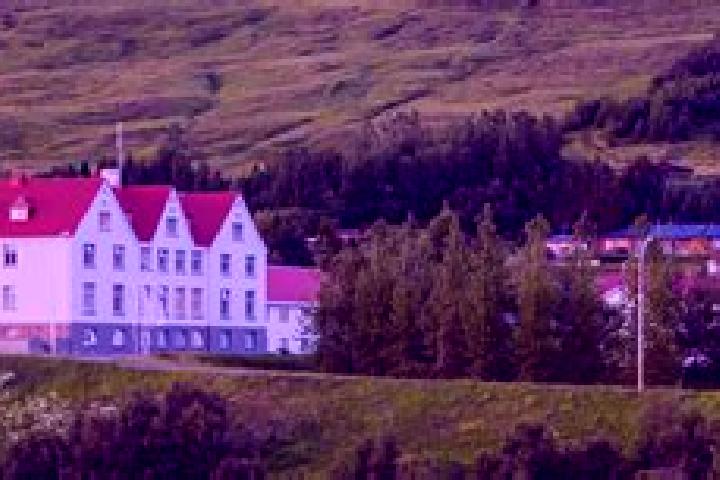 Ivy, 23 — Escort in Laugar, Iceland