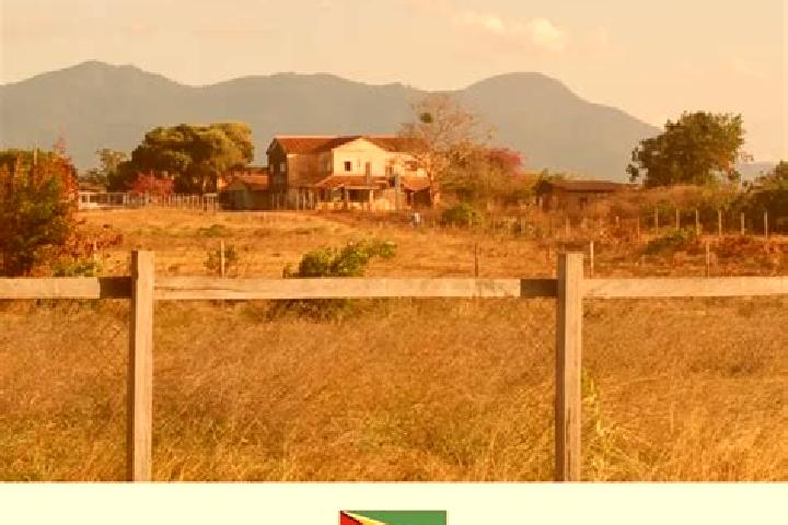 Ivy, 23 — Escort in Lethem, Guyana