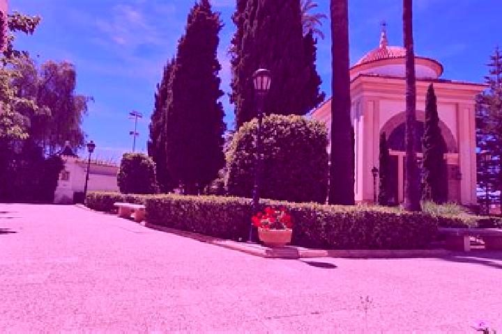 Ivy, 23 — Escort in Meliana, Spain