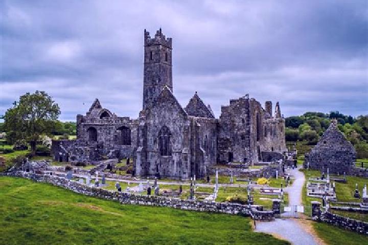 Ivy, 23 — Escort in Quin, Ireland