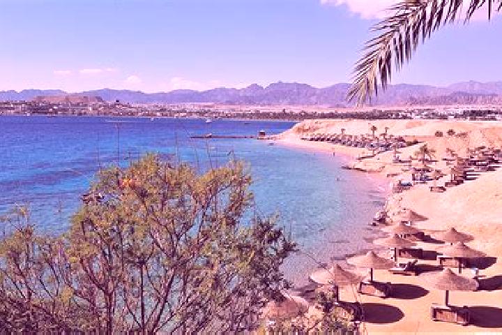 Ivy, 23 — Escort in Sharm el-Sheikh, Egypt