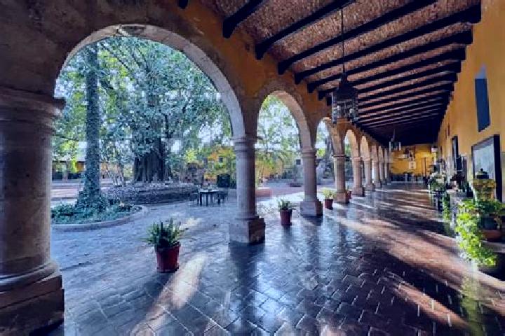Ivy, 23 — Escort in Tepoztlan, Mexico
