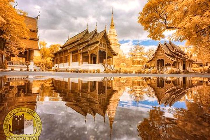 Ivy, 24 — Escort in Chom Phra, Thailand