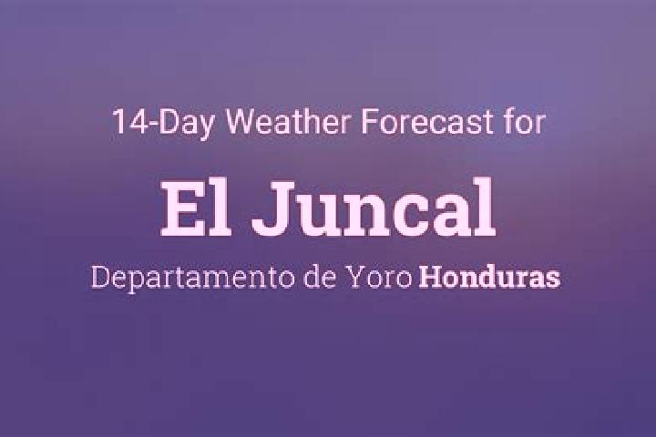 Ivy, 24 — Escort in El Juncal, Honduras