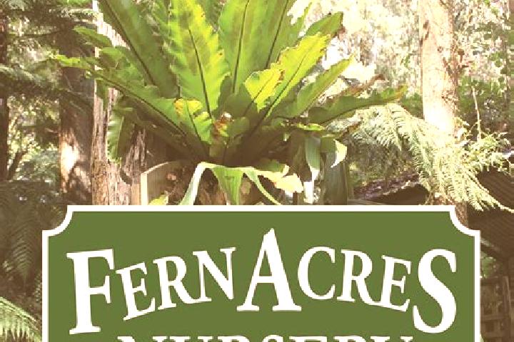 Ivy, 24 — Escort in Fern Acres, United States