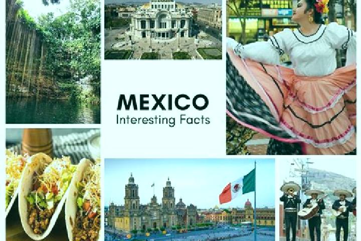 Ivy, 24 — Escort in Jolitontic, Mexico