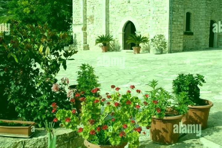 Ivy, 24 — Escort in Pano Panagia, Cyprus