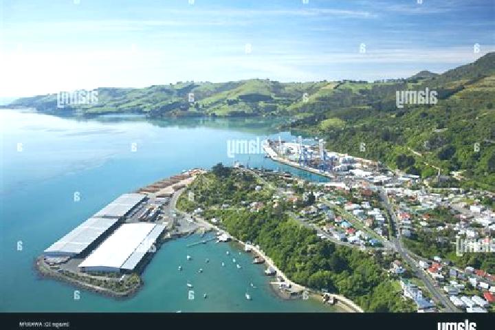Ivy, 24 — Escort in Port Chalmers, New Zealand