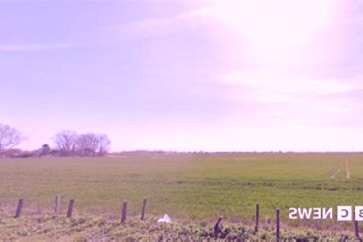 Ivy, 24 — Escort in Romney Marsh, United Kingdom