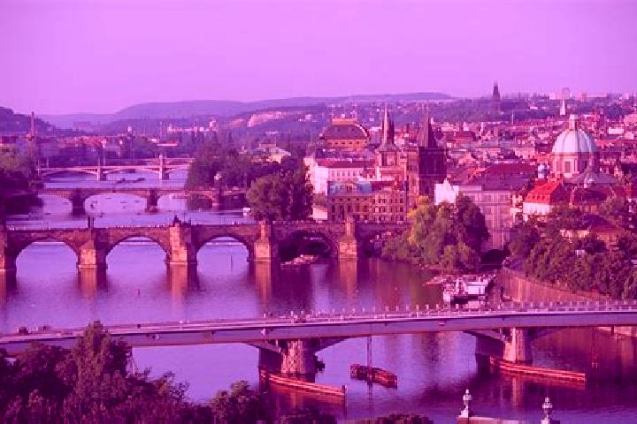 Ivy, 24 — Escort in Svetice, Czech Republic