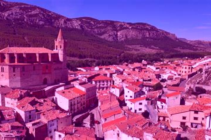 Ivy, 24 — Escort in Torre los Negros, Spain