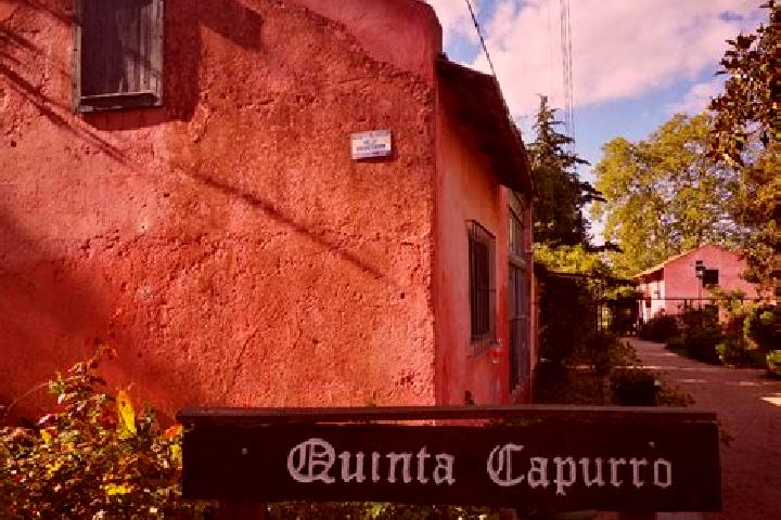 Ivy, 25 — Escort in Capurro, Uruguay