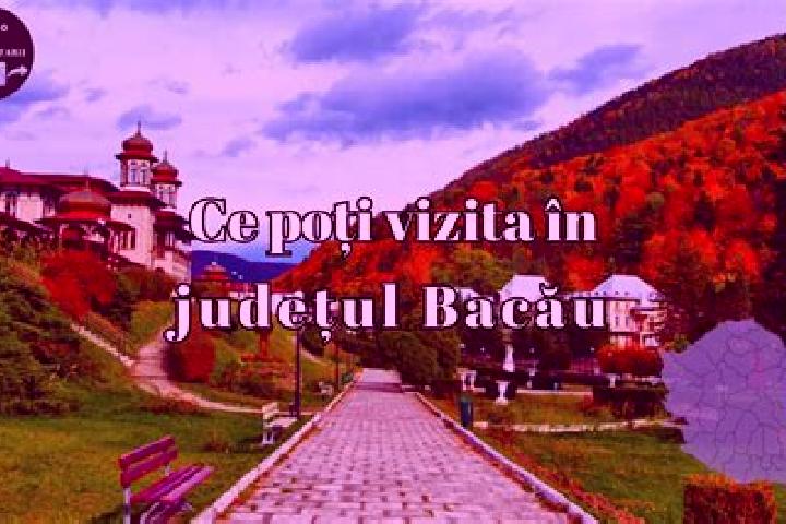 Ivy, 25 — Escort in Dragugesti, Romania