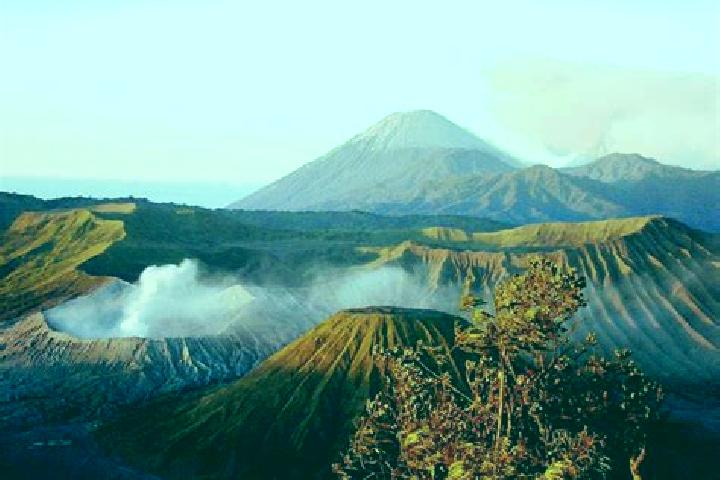 Ivy, 25 — Escort in Gunung, Indonesia