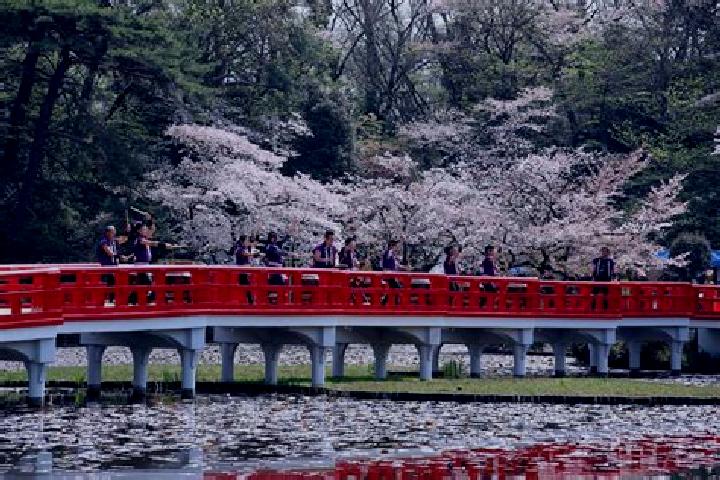 Ivy, 25 — Escort in Iwatsuki, Japan
