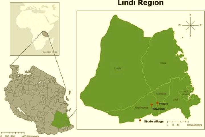 Ivy, 25 — Escort in Lindi, Tanzania