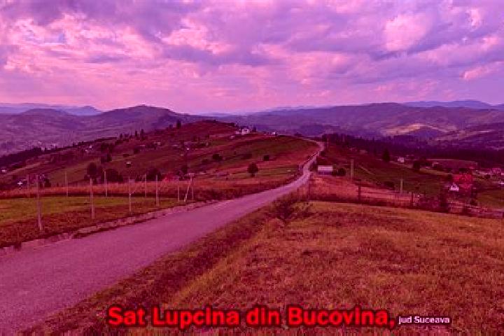 Ivy, 25 — Escort in Lupcina, Romania