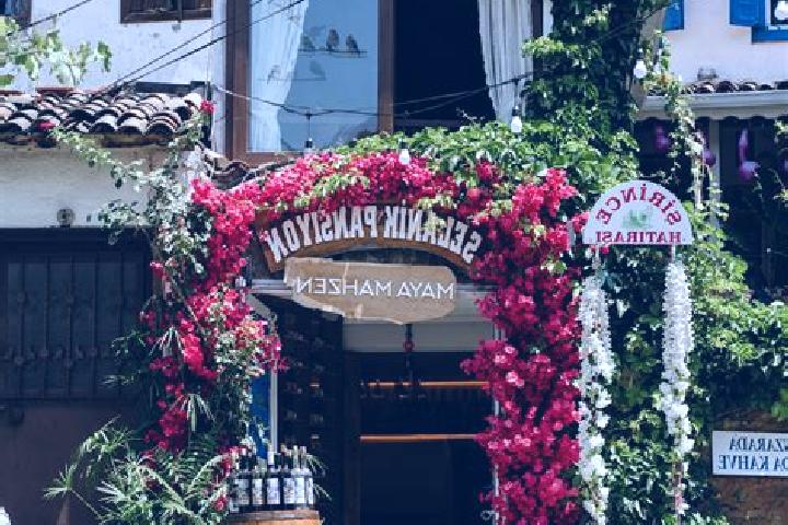 Ivy, 25 — Escort in Odabasi, Turkey