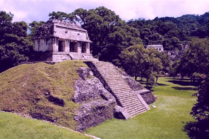 Ivy, 25 — Escort in Palenque de los Pinos, Mexico