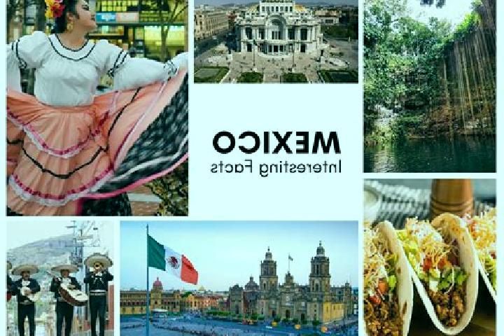Ivy, 25 — Escort in Puyipa, Mexico
