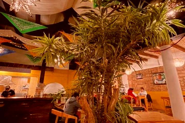 Ivy, 25 — Escort in Taniperla, Mexico