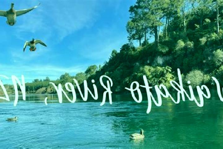 Ivy, 25 — Escort in Whakatu, New Zealand
