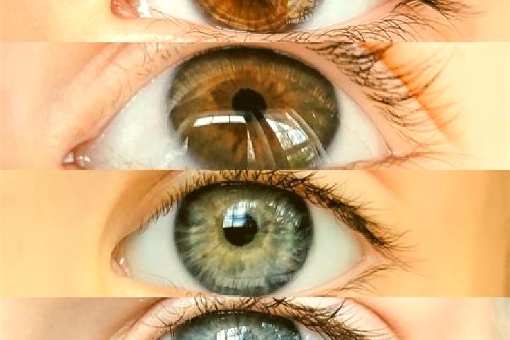 Ivy, 26, a chestnut dark-eyed mixed companion based in Ragelsdorf. Offering Prostate Massage, 69. Available for incall and outcall, overnight bookings availa...