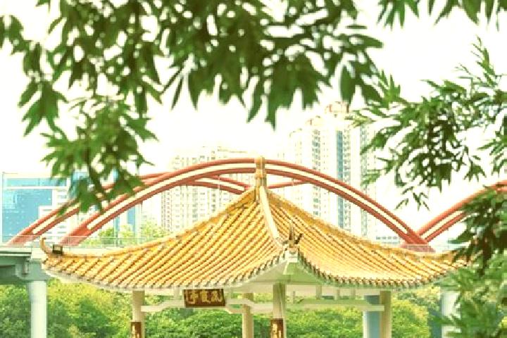 Ivy, 26 — Escort in Honghu, China