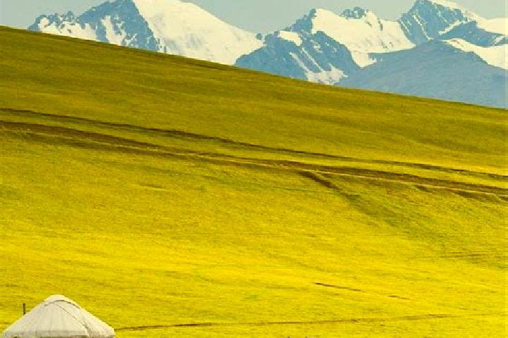 Ivy, 26 — Escort in Kulan, Kazakhstan