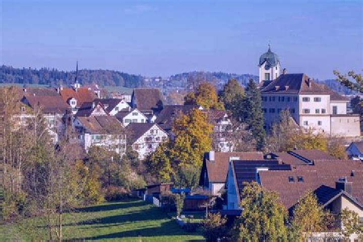 Ivy, 26 — Escort in Neu-Rheinau, Switzerland