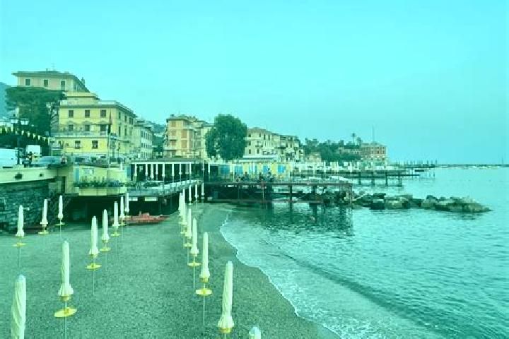 Ivy, 26 — Escort in Rapallo, Italy