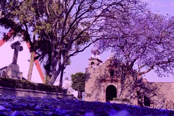 Ivy, 26 — Escort in San Pedro Martir Quiechapa, Mexico