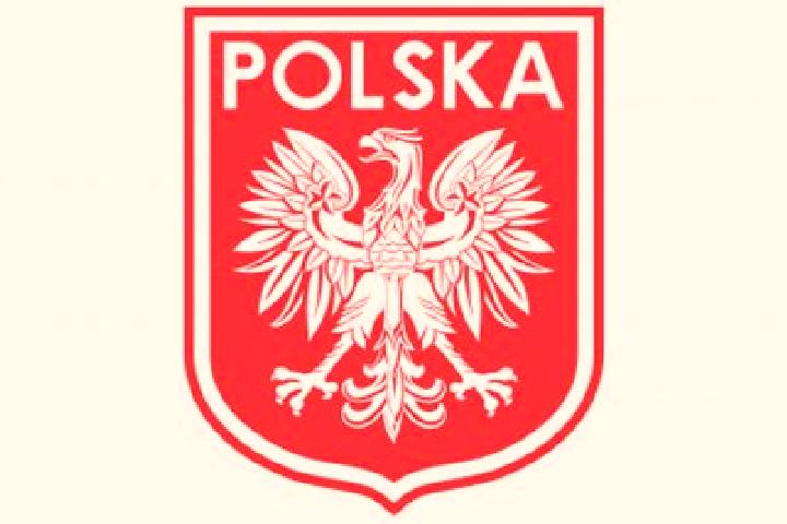 Ivy, 26 — Escort in Stoczek, Poland