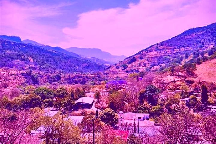 Ivy, 27 — Escort in Atzumpa, Mexico