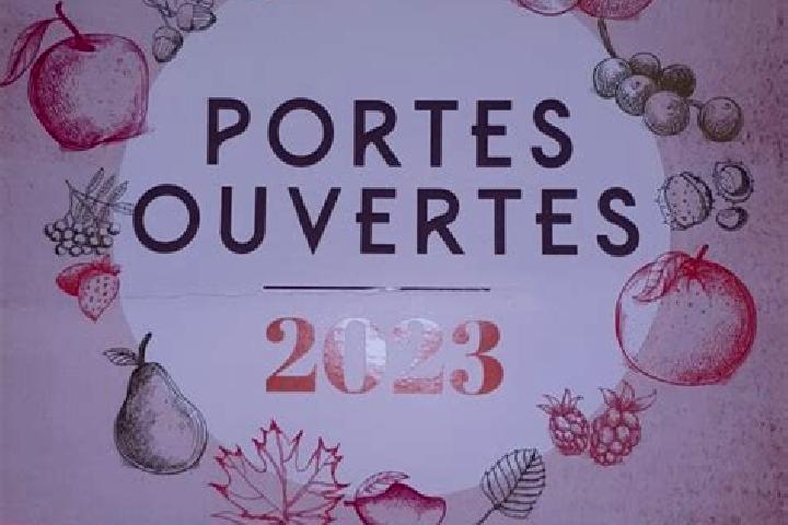 Ivy, 27 — Escort in Conchy-les-Pots, France
