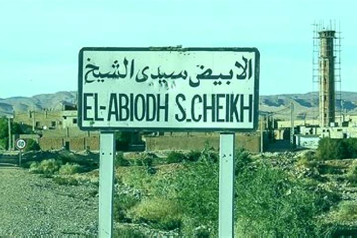 Ivy, 27 — Escort in El Abiodh Sidi Cheikh, Algeria