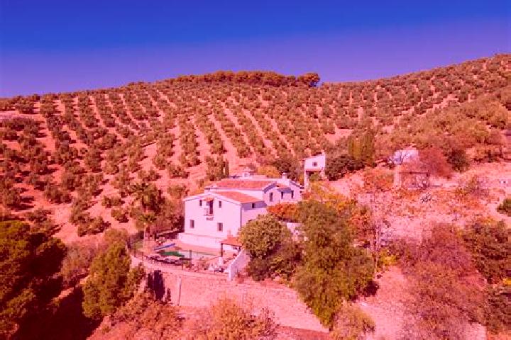Ivy, 27 — Escort in El Cortijo, Mexico