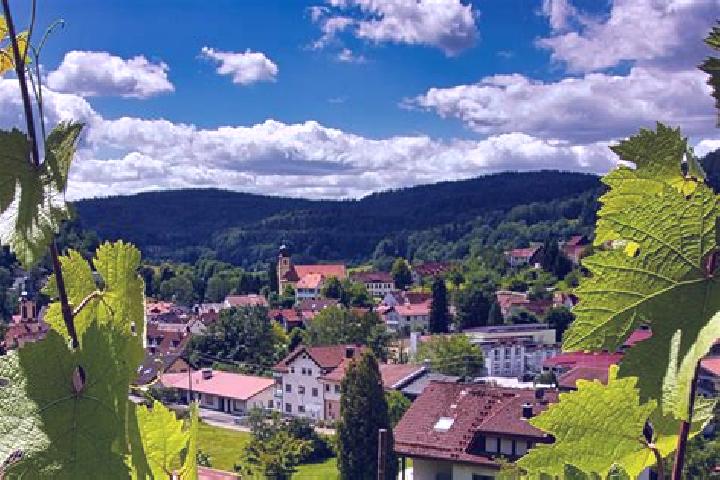 Ivy, 27 — Escort in Heiligkreuzsteinach, Germany
