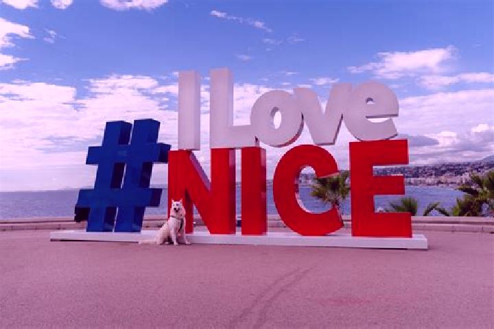 Ivy, 27 — Escort in Nice, United States